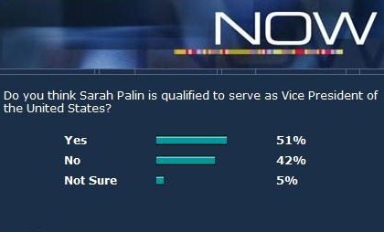 Palin Poll.jpg